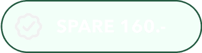 Eine abgerundete, grün umrandete Schaltfläche mit hellgrünem Hintergrund, die den Text "SPARE 160.-" in weißen Großbuchstaben anzeigt - perfekt, um eine WordPress-Wartung oder ein Support-Angebot hervorzuheben.