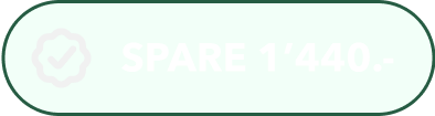 Ein abgerundeter, rechteckiger Button mit grünem Rand und hellgrünem Hintergrund zeigt den Text "SPARE 1'440.-" in fetten, weißen Großbuchstaben - perfekt, um Ihr WordPress Wartungs- oder WordPress Service-Angebot zu bewerben.